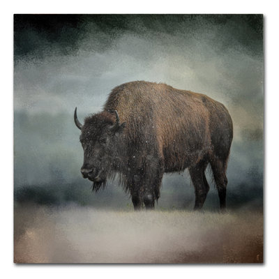 Wrapped Canvas Wall Art - Jai Johnson 'Stormy Day Buffalo' Wall Art for Living Room, Bedroom, or Office Décor - 14x14