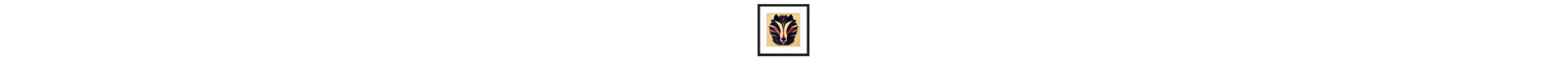 Tribal Pattern Abstract Badger Face - Single Picture Frame Print
