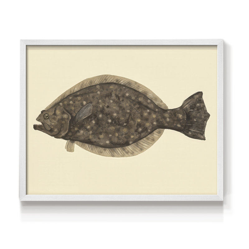 «Saltwater Species IV», reproduction encadrée, H 16 po x l 20 po, Blanc