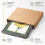 Sunflower Study Botanical - Print-1366660350-1366660339