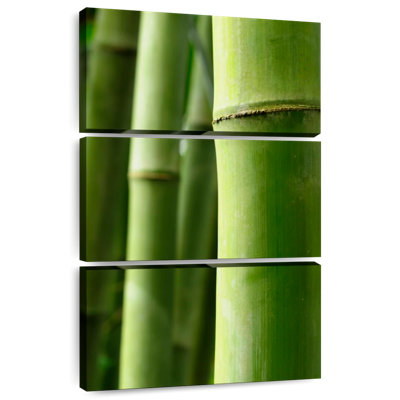 Bois de bambou Harnek