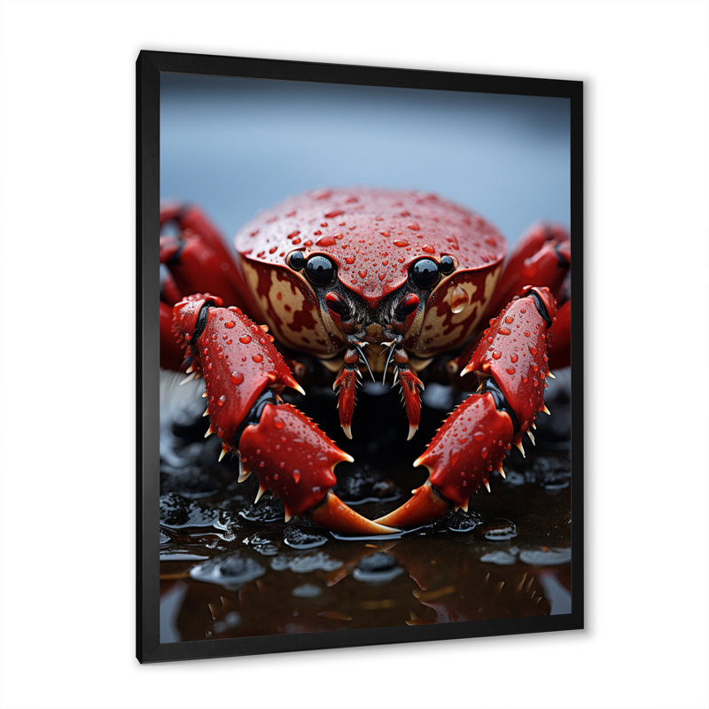 Corail gris homard Portrait vibrant - impression, Cadre photo noir, H 44 po x l 34 po x P 1,5 po
