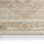 Tapis brun clair Jaipur Living Kaelen CSN07-74639889