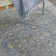 Craignamaddy Oriental Indoor Rug