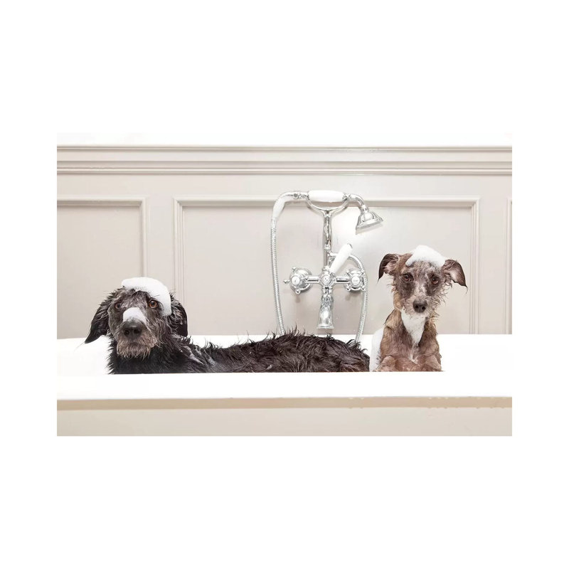 «Two Funny Wet Dogs in Bathaign», reproduction de photo sur toile tendue, H 26 po x l 40 po x 1,5 po