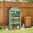 Lean-to Greenhouse Portable Greenhouseb