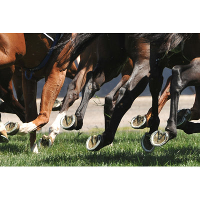 " Horse Racing Action " by Quentinjlang