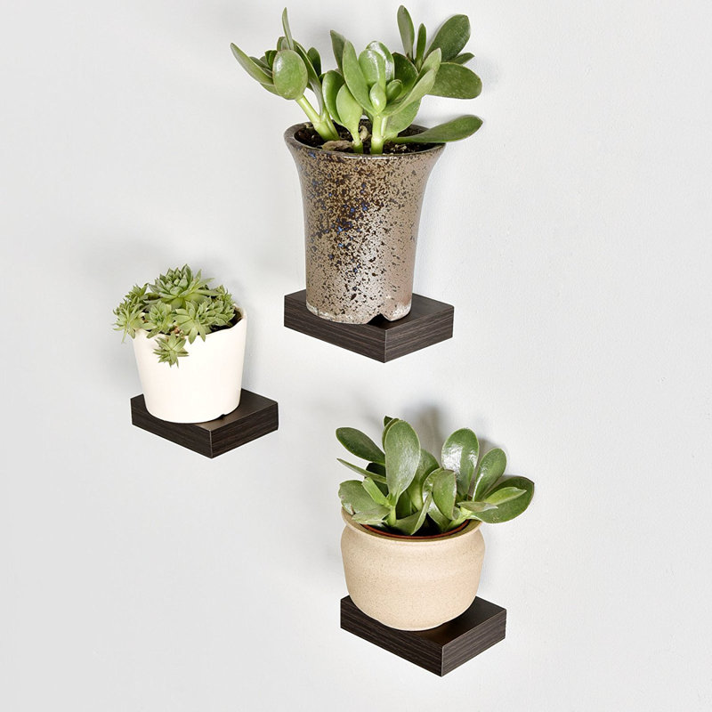 Deserie 3 Piece Square Floating Shelf, White