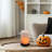 Battery Operated Flame Effect LED Light