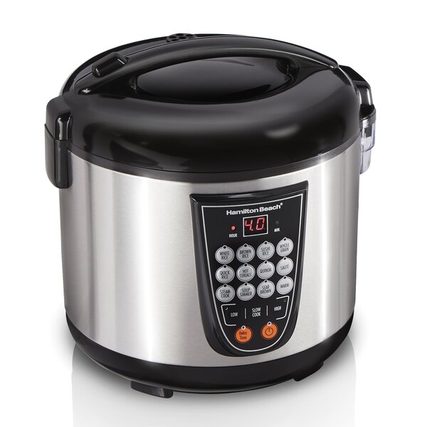 Hamilton Beach Cooker and Steamer 37519 Rice Cooker Review - Consumer  Reports