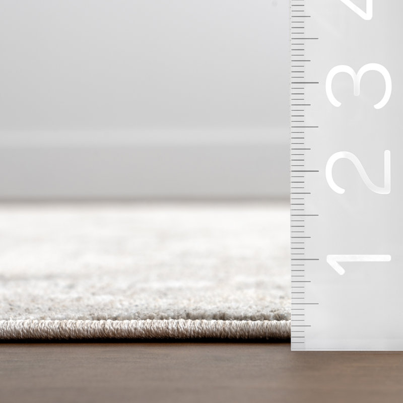 Graciela Medallion Fringe Area Rug, Runner 2'8" x 8'