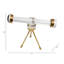 Télescope contemporain en acrylique et laiton pour décoration intérieure - Décoration de bureau sculpturale pour décoration de salon - 9 po, doré et transparent