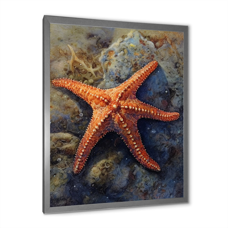 Étoile de mer Spinny I sur toile, H 32 po x l 24 po x P 1 po, Cadre simple argenté