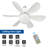 Biyori Ceiling Fan with Light 3-Speed Brushless Motor Remote Control Chandelier Fans-98234025