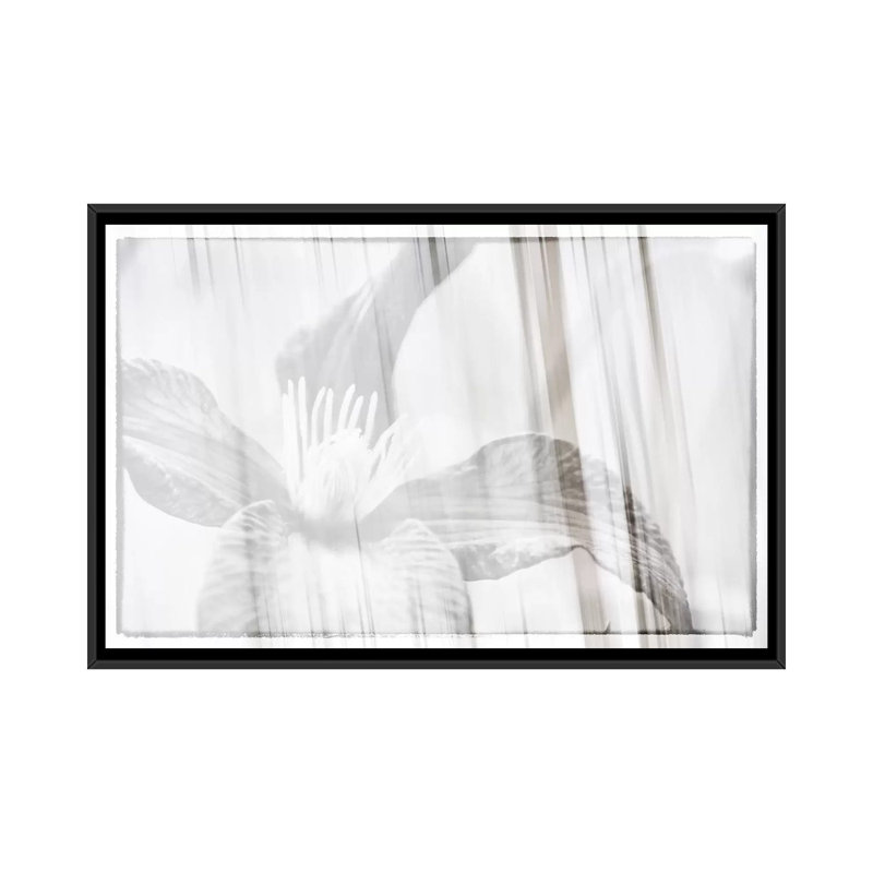 «Black and White Clematis» par Savanah Plank, impression sur toile, H 18 po x l 26 po x P 1,5 po, Pas de tapis