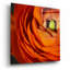 «Orange Flower Close Up» par Tom Quartermaine-499981869