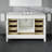 Minnich 42" Single Bathroom Vanity Set-23785240