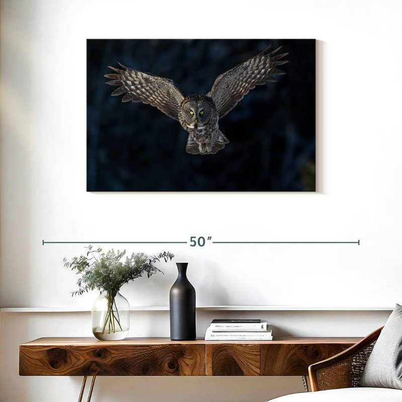 Flying Gray Owl, 24" H x 36" W