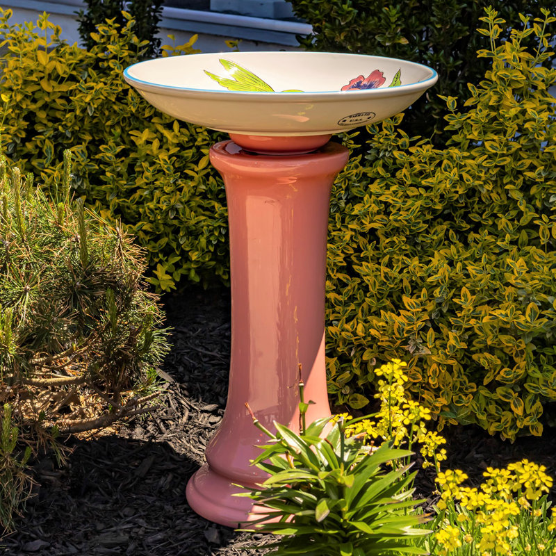 Bain d'oiseaux Billal