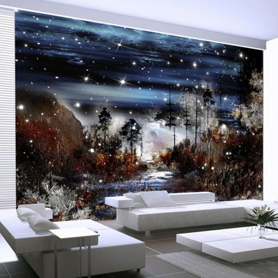 Panneau mural Frediano Night in the Forest