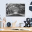 «Wormsloe Inf Light» par Mike Jones-22438181
