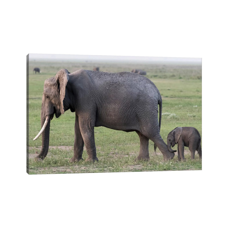 Africa, Kenya, Amboseli National Park. Mother elephant and baby walking. 1 Piece Wrapped Canvas Painting