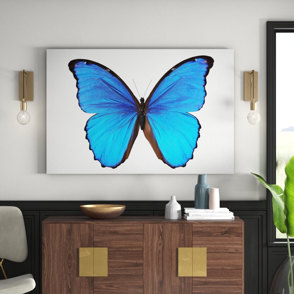 Leinwandbild Blue Morpho Butterfly