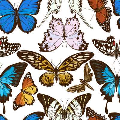 "Tomasi Butterfly" sur toile par Alisa Pravotorova, impression
