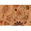 Tapis oriental brun clair en laine noué à la main 6 pi 2 po x 8 pi 11 po Caenas
