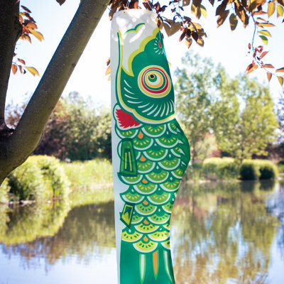 Koi