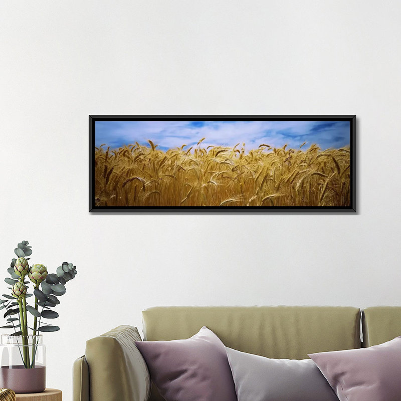 «Panoramic Wheat Crop Growing in a Field, Palouse Country, Washington State», reproduction de photo sur toile tendue