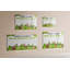 Magnetic Glass Dry Erase Board