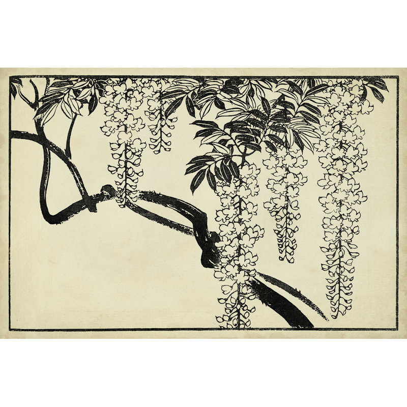 Wisteria japonais I B, H 8 po x l 12 po x P 1,25 po