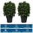 24'' Faux Boxwood Tree in Planter