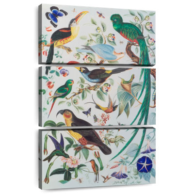 Brampt Exotic Parrots 1850