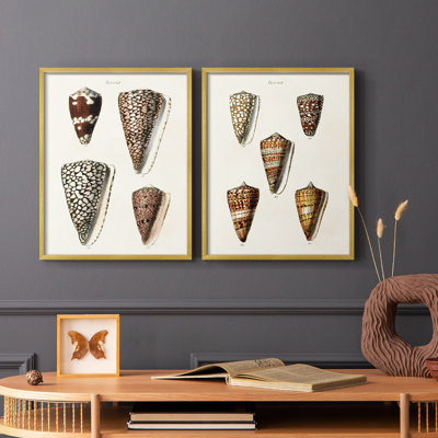 Impression encadrée de qualité supérieure Cone Shell - prêt à être accroché - aucun clou requis - aucun clou requis