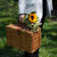 Panier en osier, service pour 2