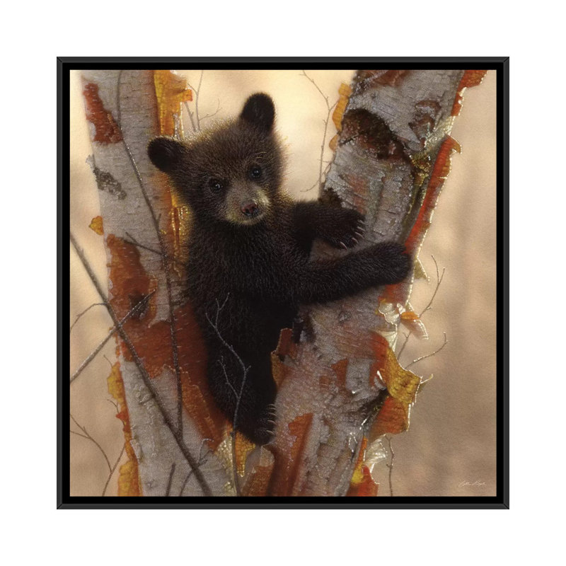 Curieux ours noir I, carré, H 18 po x l 18 po x P 1,5 po, Toile encadrée noire