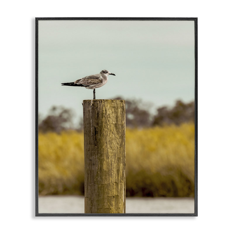 «Gull On Pile», dessin de Christy Berry, Giclée noire de minuit encadrée, H 14 po x l 11 po