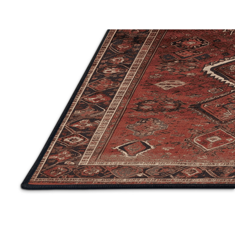 Machine Washable Persian Black Area Rug, Rectangle 4' x 6'