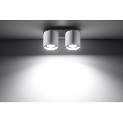Orbis 2 Flush Mount