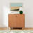 Kellie 2 -Door Storage Cabinet