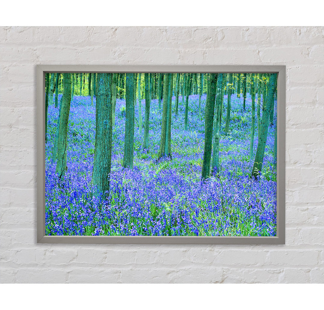 Bluebells In The Forest - Einzelner Bilderrahmen Kunstdrucke auf Leinwand