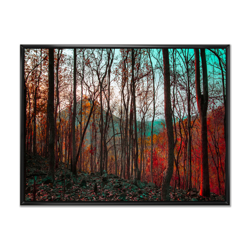 «Beautiful Bright Path To Autumn Forest», reproduction sur toile, H 24 po x l 36 po x P 1 po, Cadre flottant noir