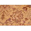 Tapis oriental brun clair en laine noué à la main de 5 pi 10 po x 9 pi 10 po Baccio