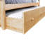 Lit matelot et capitaine avec lit gigogne en bois massif par Red Barrel Studio®-27463991-49818237