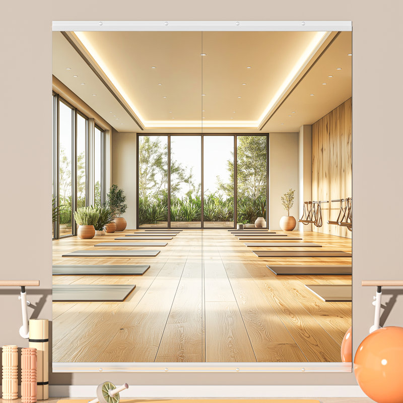 Ebern Designs Full Length Rectangle Wall Mirror Home Gym Mirror Dance Studio Mirror Tempered Glass Mirror, 55" x 21"