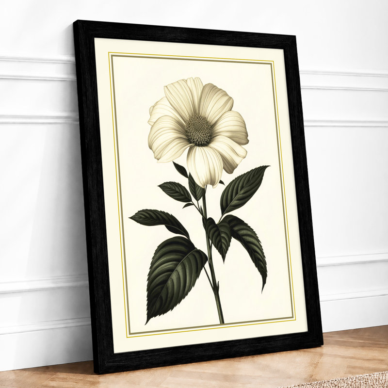Classical Study Botanical - Framed Print, Black, A3 - 42.0 x 29.7 cm