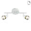 Eichler Flush Mount-9119013