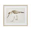 Sandpiper Shore Bird-1501660697-1501660696